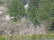 画像 020.jpg
