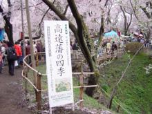 高遠の春(長野県伊那市高遠町)