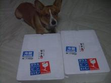 何か届いたよ