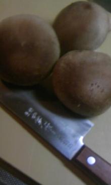 椎茸