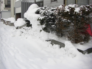 雪灯篭を作る主夫と娘