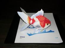 EPSON　Gold Fish Papermodel