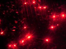 20061211212908.jpg