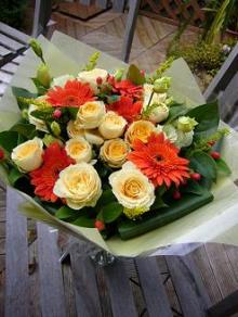 orange flower