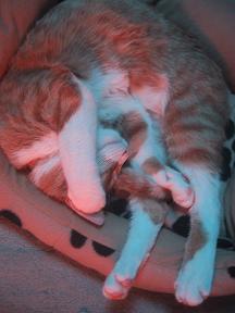 4IMG_4648