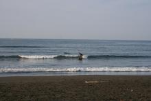 2006.3.26波