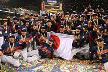 wbc2