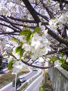 080405_103158.jpg