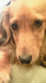 200805311459000.jpg