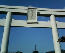 taisya2