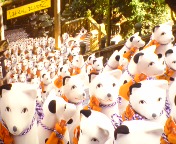 20080419132301.jpg