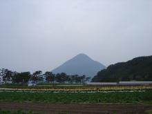 f05