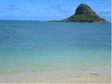 WeBeesHawaii Dakineブログ