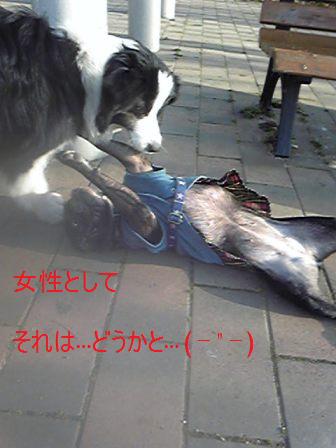 ぺちゃっとなっ♪