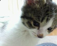 ねぇねぇ ママ。