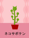 ネコサボテン