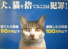 reikomaria ワンワンサロン ミロス世界 のブログ