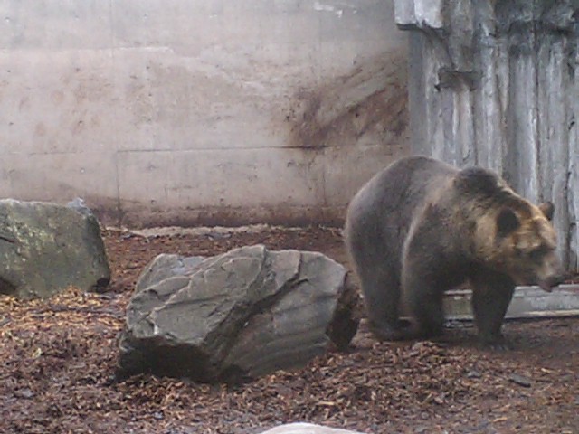 CA311085.JPG
