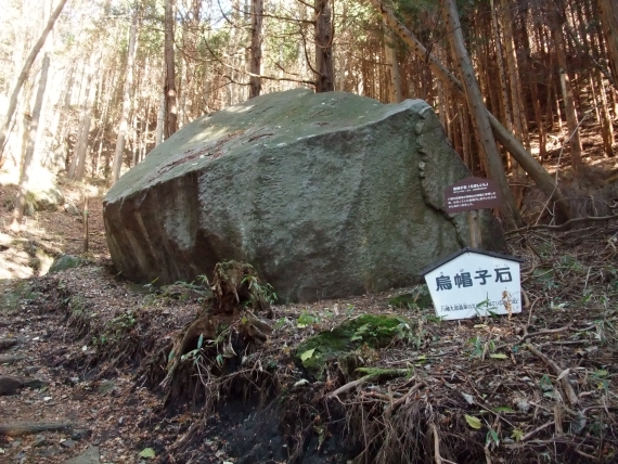 あっことひろの楽しい山登り日記