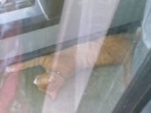 20080730142624.jpg