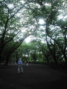井の頭公園