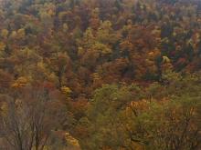 CA310037.JPG