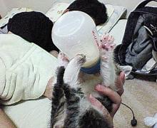一人で飲めるもんっ
