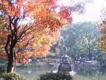 池と椛