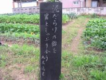 石碑
