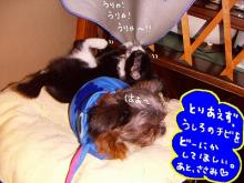 一緒に歩こうo(*^▽^*)☆