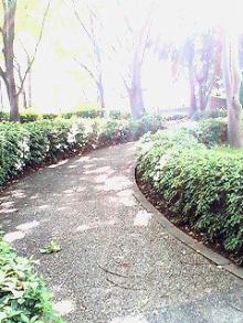 College Ring ~Dear Links~-公園・道