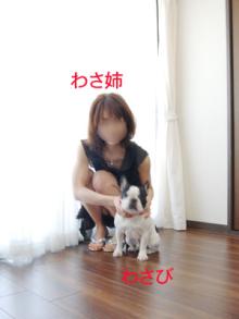 わちゃぽんのブログ-わちゃえみ