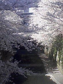 080401_1345~01.jpg