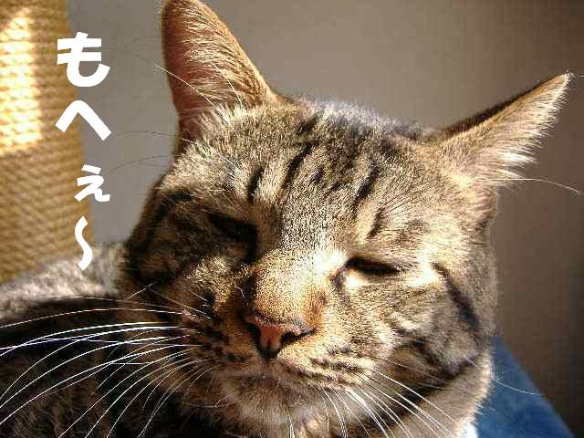 もへぇ～