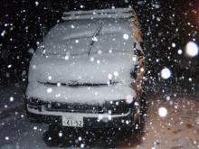 BLUE＆SNOW　スタッフブログ