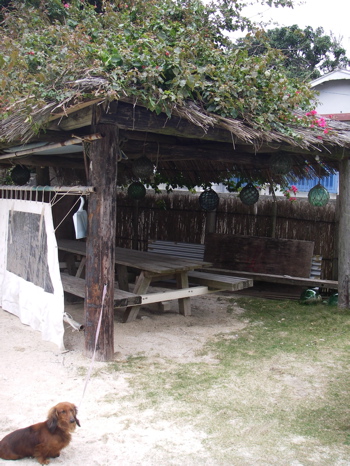 geruma2