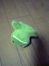 わさ天気予報。