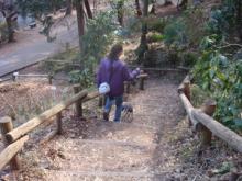 井の頭公園