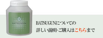 BATSUGUN詳細