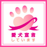 わんチャンネルTVスタッフのブログ
