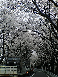 070401_1634~01.jpg