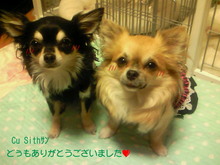 200807151704000.jpg