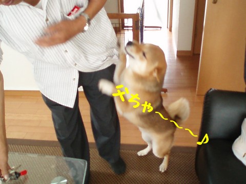 父ちゃ