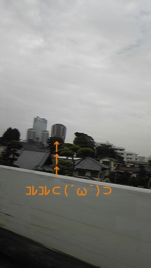 081007_125930_ed.jpg