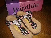 papillio