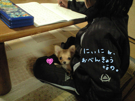 ☆happy LUNA UMI life☆