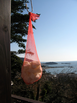 乾燥餅