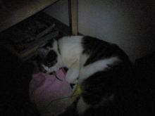くらがりで。