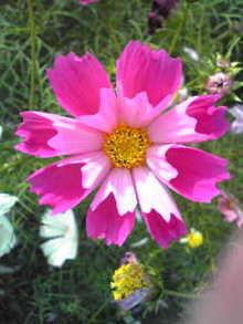 Image094002.JPG