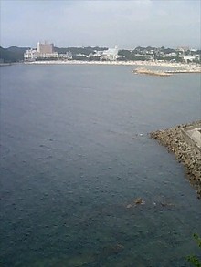 080819_1559~0001.jpg